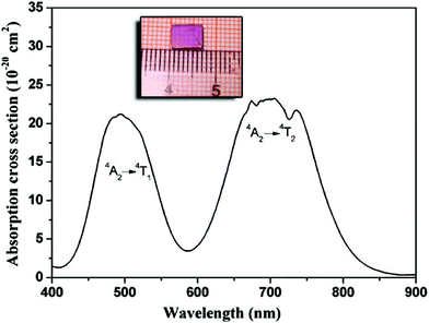 Absorption spectrum of the Cr3+:LiMgAl(MoO4)3 crystal. The inset shows the polished cuboid sample for the spectral experiments.