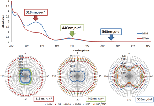 Polarized absorption electronic spectra and angular dependence of a polarizer in absorbance at 318, 440 and 563 nm for AZ+PMMA+diph(SS)Ni after UV light irradiation for 0–60 min.