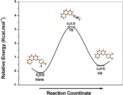The relative energies of different conformations of Me2(t-phen) (minima and transition states) varying the angle of rotation around two rings with respect to the most stable ‘trans’ conformation