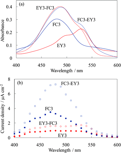 Visible (a) absorption and (b) photocurrent spectra of the untreated dye-titania electrodes, WE-FC3, WE-EY3, WE-FC3-EY3, and WE-EY3-FC3.