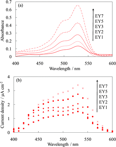 Visible (a) absorption and (b) photocurrent spectra of the untreated EY-titania electrodes, WE-EYn (n = 1, 2, 3, 5, and 7).