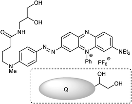 Diol appended BHQ (Biosearch Tech) quencher, 2.