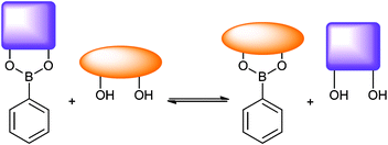 Equilibrium depicting boronic ester diol exchange. Relative stability constant K determines whether one diol displaces another in aqueous media.
