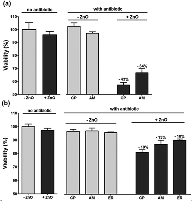 Effect of ZnO glass coating and candidate antibiotics against E. coli and S. aureus. The antibacterial effect was evaluated with non selective medium, selective media and selective media following short exposure to ZnO glass coating a) E. coli b) S. aureus. (CP: Chloramphenicol; AM: Ampicillin; ER: Erythromycin).