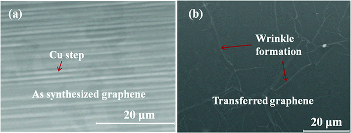 SEM images of graphene film on Cu deposited at 240 °C. (a) As grown graphene film on Cu foil presenting graphene grain and Cu steps. (b) A transferred graphene film on a plastic substrate presenting wrinkle formation.