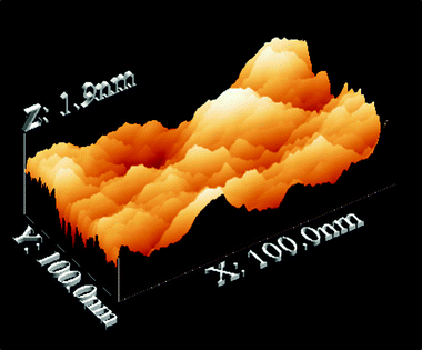
          3D-AFM image of the m-A(14) mono-amidosil.