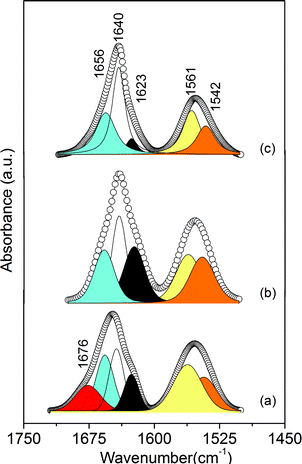 Curve-fitting results in the amide I and amide II regions of the m-A(8) (a), AC-m-(8) (1 : 600) (b) and m-A(14) (c)21 mono-amidosils.