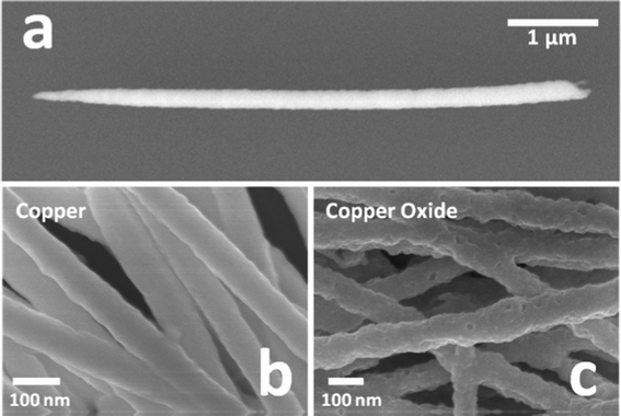 (a) SEM image of a single Cu nanowire; (b) surface morphology of Cu nanowires before oxidation; (c) surface morphology of nanowires after oxidation (CuO nanowires).
