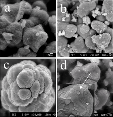 
            SEM images of TiO2 synthesised by vapour-hydrolyzing ethanol–TTIP mixture (TTIP/ethanol = 1/0.1) annealed at room temperature (a), 500 °C (b), 600 °C (c), and 600 °C for 15 h (d).