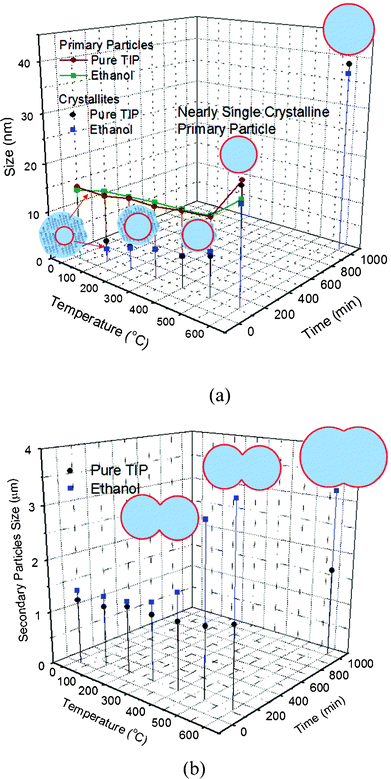 Evolution of sizes of the TiO2 crystallite, primary particle, and secondary particle in the annealing process. (a) Variations of the crystallite size and the primary particle size. (b) Variation of the secondary particle size.