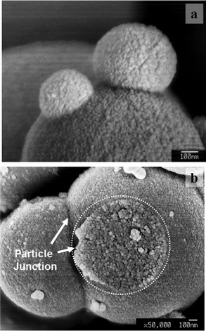 Association of the secondary particles (Ostwald ripening) before the coarsening of grains takes place. (a) A secondary particle merged with two other smaller secondary particles. (b) The cross section of the junction of a merged secondary particle.