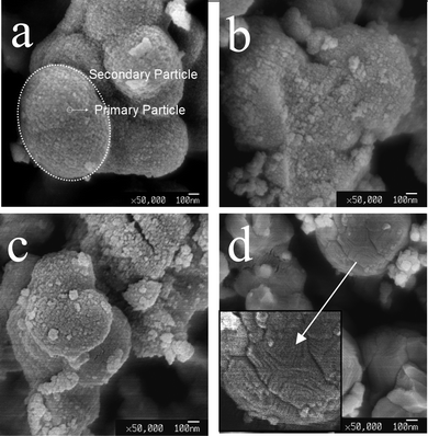 
            SEM images of TiO2 dried at room temperature (a), 500 °C (b), 600 °C (c), and 600 °C for 15 h (d). Samples were prepared by vapour-hydrolyzing pure TTIP.