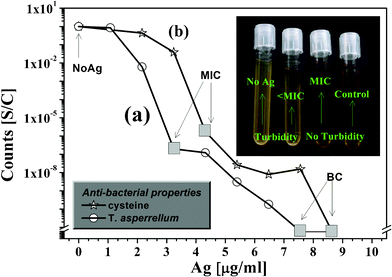 Log-normal plot of surviving bacterial colonies relative to that of the control vs. dose of Ag nanoparticles synthesized (a) via a fungal route and (b) using cysteine. Inset: Digital photograph of the controls and culture supplemented with different dosage of Ag nanoparticles.