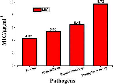 Comparison of antibacterial activity of cysteine capped Ag-nps against different pathogenic strains.