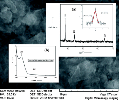 SEM micrograph of the sample D. Inset (a): XRD pattern of the heated and as-synthesized sample D, (b) UV-vis spectrum of the same sample.