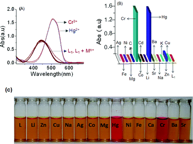 (A) The absorbance spectra of the chemosensor (L1) (2.0 × 10−5 M) in the absence and presence of 10 mole equivalent of various metal ions, such as Cr3+ , Hg2+, Zn2+, Cu2+, Cd2+, Ni2+, Co3+, Ca2+, Fe2+, Al3+ Mg2+, Na+, Ag+, Sr2+, Ba2+, Sr2+, Li+ and Cs+ in CH3CN; (B) a bar diagram showing the change in the absorbance for L1 (2.0 × 10−5 M) in the presence of the above mentioned metal ions (2 × 10−4 M) in CH3CN at a λmax of 509 nm; (C) the colour variation of L1 (20 μM) in the presence of different metal ion (0.4 mM) in CH3CN.