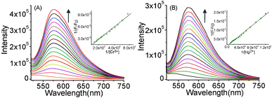 The changes in the emission spectra of L1 (2.0 × 10−5 M) in the presence of varying (A) [Cr3+] (0–4.0 × 10−4 M) and (B) [Hg2+] (0–5.0 × 10−4 M). Insets: Benesi–Hildebrand plots for the respective titrations with Cr3+ and Hg2+ showing a 1 : 1 binding stoichiometry.