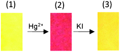 The variation in the colour of the test strip for L1 only (1), L1 after dipping in an aqueous solution of Hg2+ (100 ppm) (2), and after dipping in an aqueous solution of KI (10 mM) (3).