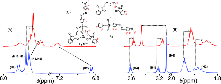 The 1H NMR spectra of L1 in the absence and presence of Hg2+ in CD3CN, (A) the change in the aromatic region, (B) the change in the aliphatic region, and (C) represents the probable binding mode of L1 with the metal ions (Hg2+, Cr3+) and the molecular structures for L and L2.