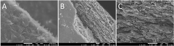 SEM images of the fracture surfaces of PAN/RDGO nanocomposites with RDGO loadings of (A) 0.67 vol%, (B) 1.36 vol% and (C) 2.75 vol%.