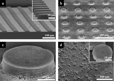 SEM images of the resulting microarrays and microparticles. Tilted view SEM images of large area (a) hot-embossed uncrosslinked SU-8 microarrays and (b) microarrays with internal woodpile structure. Inset in (a) shows magnified 30 μm microarray. (c) SEM image of a single microstructure represented in (b). (d) SEM image of released 3D microparticles with internal woodpile structures. Inset shows magnified view of a single microparticle.