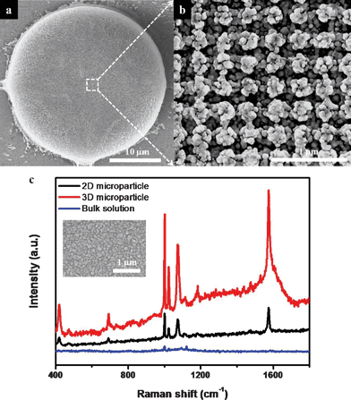 (a) SEM image of a 3D microparticle decorated with aggregated silver nanoparticles and (b) its magnified image. (c) SERS spectra of BT on the silver-decorated 2D, 3D microparticles and bare glass substrate as the reference. Data acquisition was the result of 5 s accumulation. The laser powers on microparticles and bulk solution were 0.05 mW and 2.5 mW, respectively. Inset shows an SEM image of a 2D microparticle with aggregated silver nanoparticles.