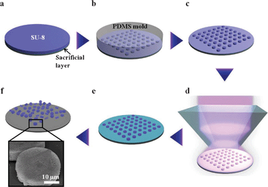 Schematic of the fabrication of 3D microparticles with an internal woodpile structure using hot-embossing and prism holographic lithography. (a) Spin-coating of the SU-8 PR on the pre-coated sacrificial layer. (b) Embossing the photoresist using prepared PDMS mold. (c) Resulting uncrosslinked SU-8 microarrays. (d) Holographic lithography using a single prism. (e) Post-exposure baking and development process. (f) Microparticles with 3D internal woodpile structure released by dissolving the sacrificial layer.