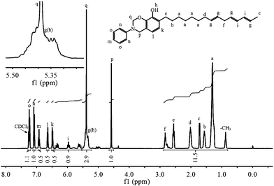 
            1H NMR spectrum of UBz.