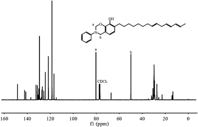 
            13C NMR spectrum of UBz.