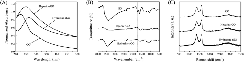 Spectral characterization of GO, heparin-rGO and hydrazine-rGO: (A) UV-vis absorption spectra, (B) FT-IR spectra, and (C) Raman spectra.