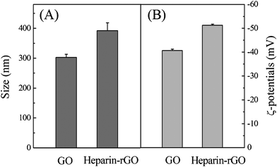 
            DLS (A) and ζ-potential (B) measurements of GO and heparin-rGO.