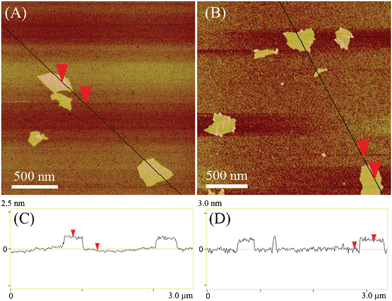 
            AFM images and the corresponding height measurements of GO (A and C) and heparin-rGO (B and D).