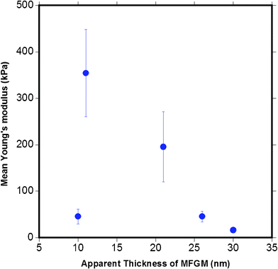 The relationship between the mean Young's modulus calculated versus the apparent MFGM thickness. The graph indicates that the elasticity of the MFGM is not a function of the thickness of MFG.