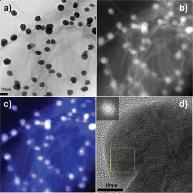 (a) The bright field and (b) dark field of TEM images of silver NPs dispersed on GO sheets. (c) Electron energy-loss spectroscopy mapping showing the elemental distribution of carbon (blue) and silver (white) within Ag/GO composite. (d) High resolution TEM (HRTEM) image and selected area Fourier transform (FFT) analysis of a silver NP showing the crystalline silver in a localized region.