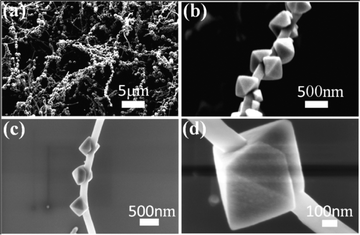 FESEM images of nanoarchitectures composed of MWCNTs and Co3O4 octahedra. (a) Low magnification image, (b) one MWCNT covered with Co3O4 octahedra, (c) three Co3O4 octahedra with opened gap toward MWCNT and (d) one Co3O4 octahedron with groove junction strung with MWCNT.