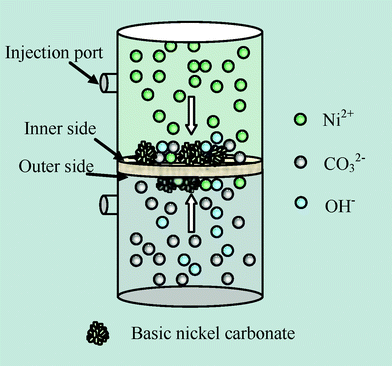 Schematic diagram of the crystallizer.