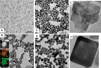 TEM images of Pd–Pt nanocrystals obtained using the same procedure, except for different annealing times: (A) 5 min, (B) 1 h, (C) 2 h, (D) 4 h, (E) 1 h, (F) 4 h. (Insert of B is the STEM image and elemental mapping correspond to the Pd and Pt elements respectively.)