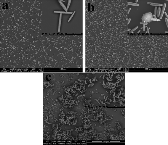 
          FE-SEM photographs of the as-prepared hierarchical ZnO microstructures grown in various zinc nitrate/methenamine concentrations at 95 °C for 3 h: (a) 1 mM, (b) 10 mM, and (c) 100 mM.