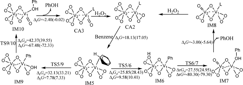 The catalytic cycle and free energy data (units in kcal mol−1) in the gas phase and CH3CN (values in parentheses) with (O2)2V(μ–O)2V(O2)(CH3CN) as catalyst (L = CH3CN) at room temperature. The free energy barriers and reaction free energies are labelled as ΔrGa and ΔrG, respectively.