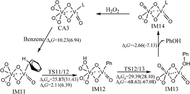 The catalytic cycle and free energy data (units in kcal mol−1) in the gas phase and CH3CN (values in parentheses) with (O2)2V(μ–O)2V(O)(CH3CN) as the catalyst (L = CH3CN) at room temperature. The free energy barriers and reaction free energies are labelled as ΔrGa and ΔrG, respectively.