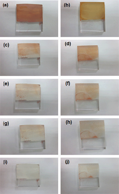 Photographs of Rice-grain shaped TiO2 (left) and P-25 (right) samples. (a & b) before UV irradiation; (c & d) after UV irradiation for 30 min; (e & f) after UV irradiation for 1 h; (g & h) after UV irradiation for 1 h and 30 min; (i & j) after UV irradiation for 2 h.).