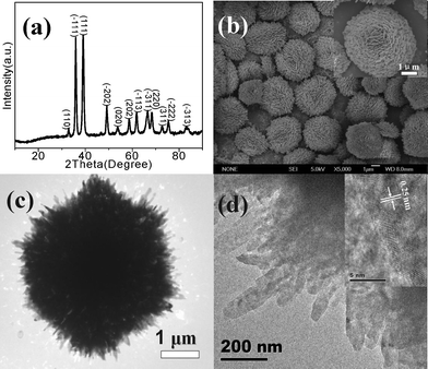XRD pattern (a), SEM (b) (inset of SEM is its high-magnification), and TEM images (c) and on the edge (d) of flower-like CuO microspheres (C3) (inset of Fig. 1d is the HRTEM image).