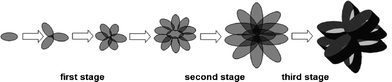 Illustration of the formation process of flower-like CuO microspheres.