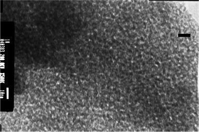 Representative transmission electron micrograph of micro-porous fluorinated chromia. This image was obtained with a transmission electron microscope operated at 200 KV from a thin section prepared by ultrasonic cleaning.