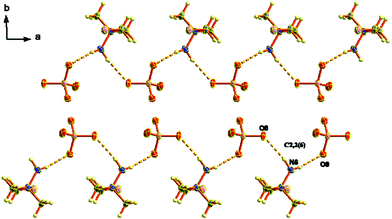 The formation of zig-zag chains along the a-axis via hydrogen-bonding (dashed lines) in the crystal structure of [Me2N(CH2Cl)NH2](ClO4) (3, view along the c-axis).