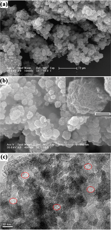 (a) and (b) The typical SEM micrographs with different magnification and (c) TEM image of the mesoporous MnO2 walnuts. Scale bar in inset of (b) is 100 nm.