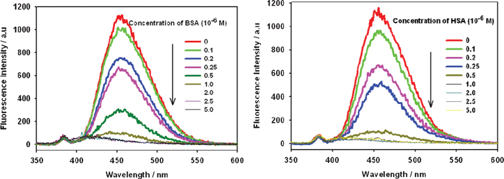 Fluorescence emission spectra of OPBA (1 × 10−6 M) in the presence of BSA (left) or HSA (right) at various concentrations in aqueous solutions. Excitation wavelength was 340 nm.
