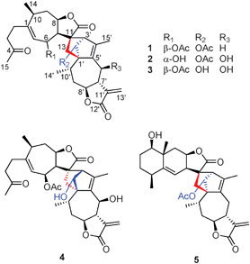 The structures of compounds 1–5.