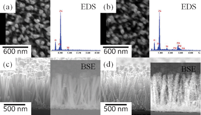 The SEM images of (a),(c) pristine ZnO nanorod arrays and (b),(d) Pd/ZnO NRs fabricated by photochemical reduction in 0.75 mM PdCl2 ethanol solution. The corresponding EDS spectra and BSE images are also shown.