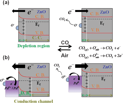 The schematic band diagrams of (a) pristine ZnO NRs and (b) Pd/ZnO nanorod arrays exposed to air and CO gas ambient. (The C.B., V.B. and Ef are the codes of the conduction band, valence band and Fermi level. D.R. and C.C. denote the depletion region and conduction channel.)